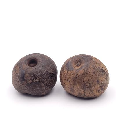 Pair of Curious Seed Pods Used for Storage Possibly SE Asia 19th Century
