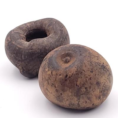 Pair of Curious Seed Pods Used for Storage Possibly SE Asia 19th Century