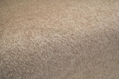 Pair of Curved Armchairs Europe ca Mid 20th Century