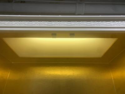 Pair of Custom Chinoiserie Style Cabinets