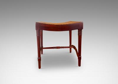 Pair of Danish Modern Classcism Benches in Mahogany