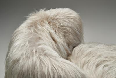 Pair of Easy Chairs in Grey Longhair Europe Mid 20th Century