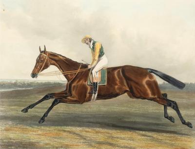 Pair of English Framed Equestrian Engravings