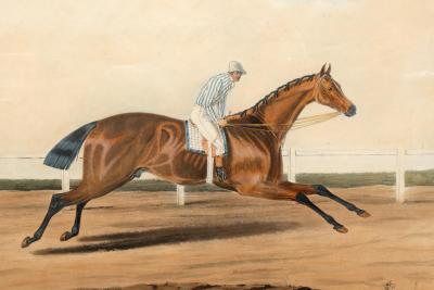 Pair of English Framed Equestrian Engravings