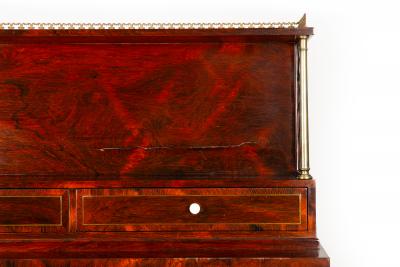 Pair of English Regency Rosewood Bookcase Cabinets att John McLean c 1820