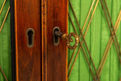 Pair of English Regency Rosewood Chiffoniers Cabinets Bookcases ca 1810