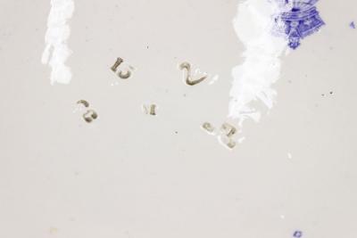 Pair of English Victorian Ceramic Floral Charger Plate