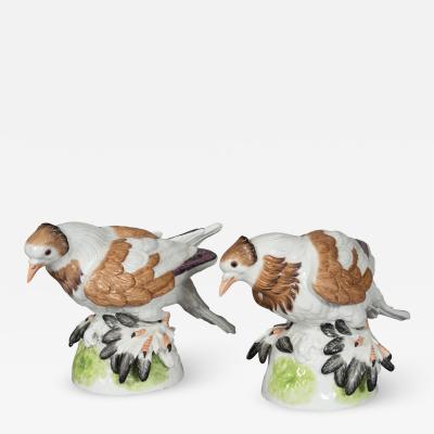 Pair of European Porcelain Figures Of English Trumpeter Pigeons