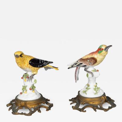 Pair of European Porcelain Figures of Sunbirds