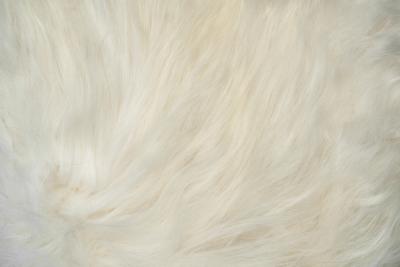 Pair of Fantasy Armchairs by Kurt Beier for Koinor Germany 1980s