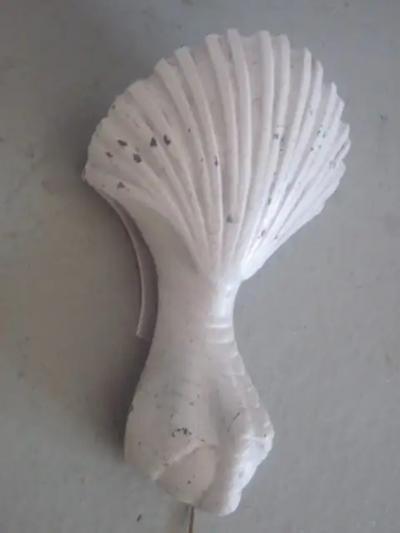 Pair of French 1930s Shell and Talon Sconces