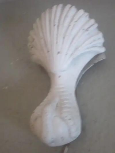 Pair of French 1930s Shell and Talon Sconces