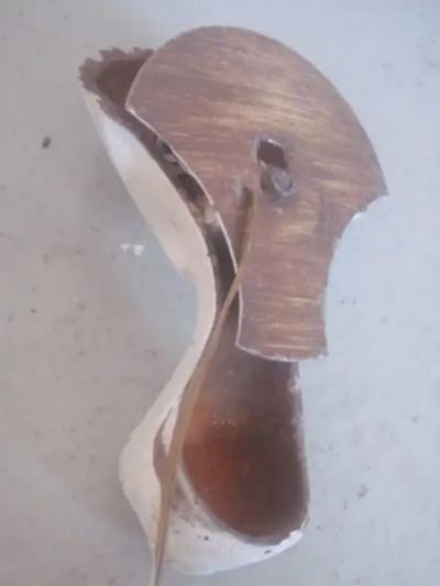 Pair of French 1930s Shell and Talon Sconces