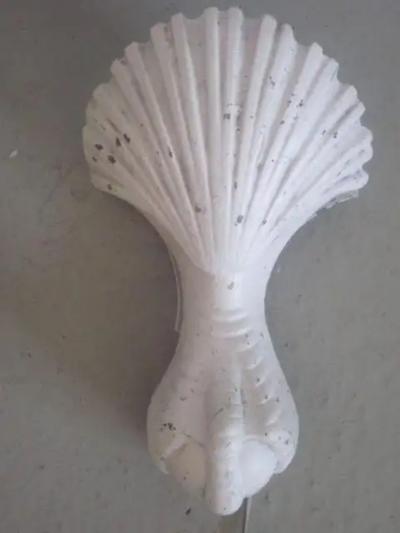 Pair of French 1930s Shell and Talon Sconces