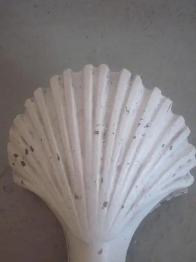 Pair of French 1930s Shell and Talon Sconces