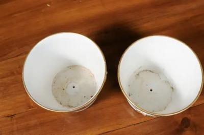 Pair of French 19th Century Paris Porcelain Cachepots Planters with Bird Motifs