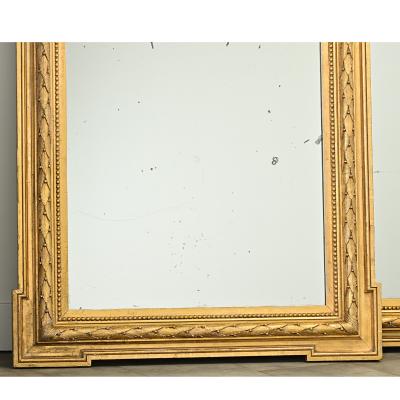 Pair of French Carved Gold Gilt Mirrors