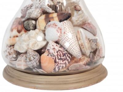 Pair of French Cloche Shell Lamps