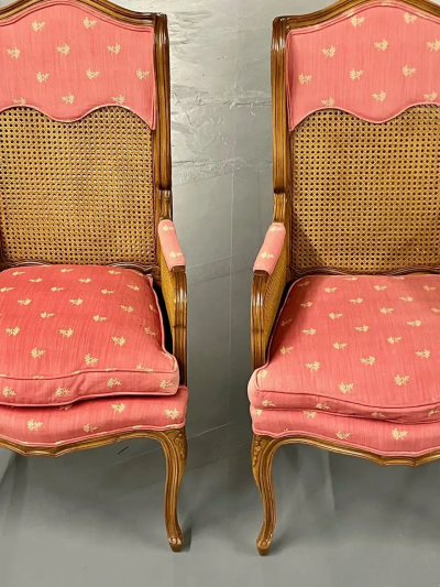 Pair of French Louis XV Style Cane Occasional Armchairs Wingbacks France