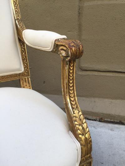 Pair of French Louis XVI Style 19th Century Giltwood Carved Chairs