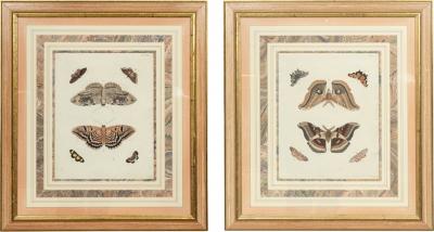 Pair of Hand Colored Engravings of Moths