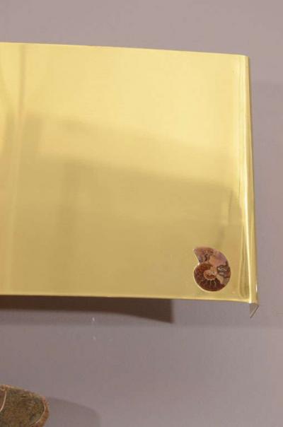 Pair of Important Ammonite and Brass Wall Lights Sconces