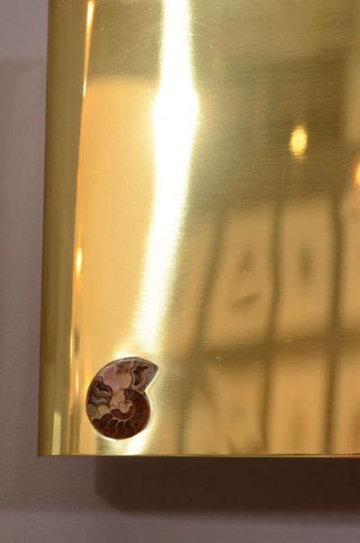 Pair of Important Ammonite and Brass Wall Lights Sconces