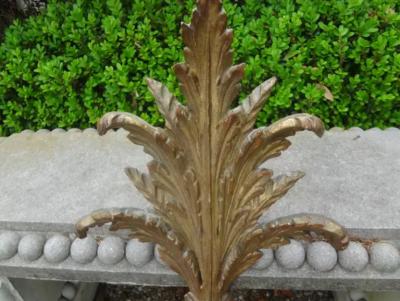 Pair of Italian Painted and Parcel Giltwood Plume Sconces