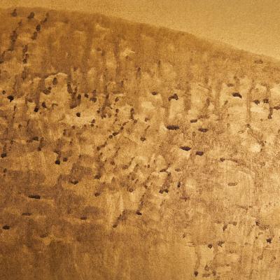 Pair of Japanese Six Panel Screens Higashiyama Hills of Kyoto