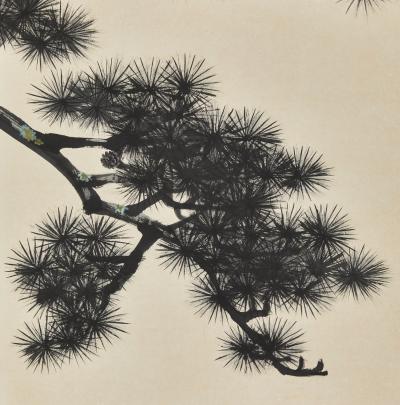 Pair of Japanese Two Panel Screens Pine Forest