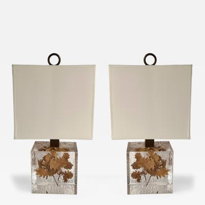 Pair of Lamps Fractal Resin Inclusion Leaves and Brass France 1970s