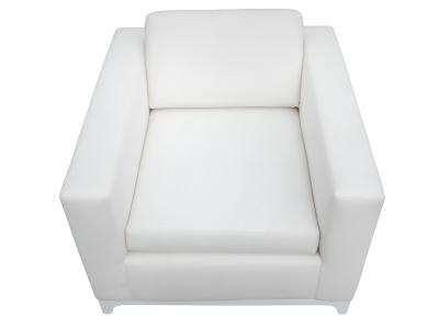 Pair of Large Arm Chairs