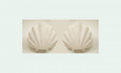 Pair of Large Plaster Shells Wall Sconces