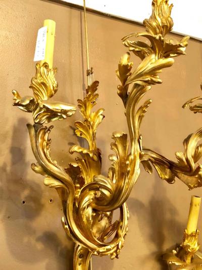 Pair of Louis XVI Style Bronze Three Light Gilt Bronze Sconces