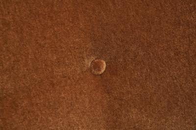 Pair of Lounge Chairs Upholstered in Burnt Orange Mohair Norway 1940s