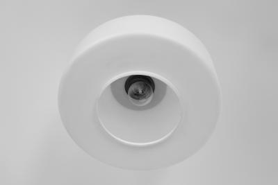 Pair of Matte Opal Glass Ceiling Lamps The Netherlands 1960s