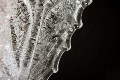 Pair of Modern Italian Pink and Clear Murano Glass Leave Wall Lights 1970