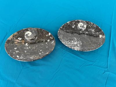 Pair of Moroccan Granite Nautilus Bowls