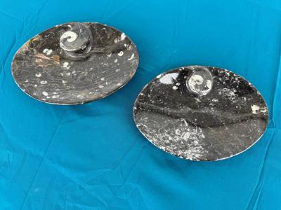 Pair of Moroccan Granite Nautilus Bowls