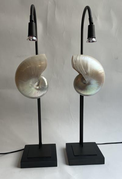 Pair of Nautilus Shell Table Lamps