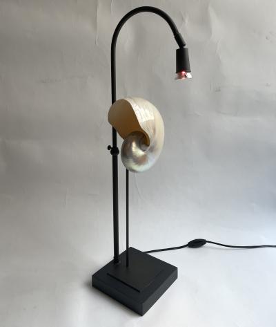 Pair of Nautilus Shell Table Lamps