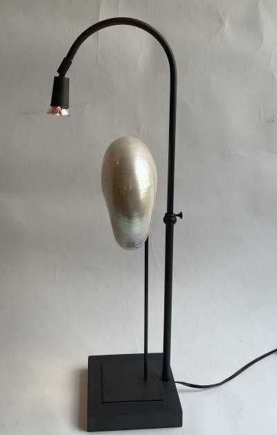Pair of Nautilus Shell Table Lamps
