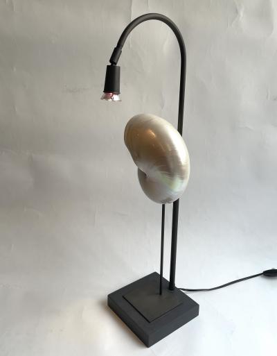 Pair of Nautilus Shell Table Lamps