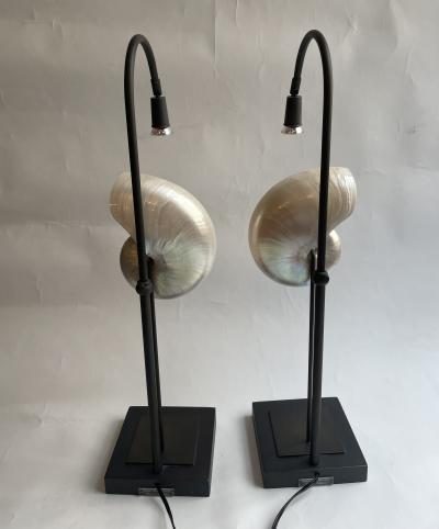 Pair of Nautilus Shell Table Lamps