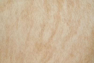 Pair of Oak and Ponyskin Side Chairs France ca 1930s