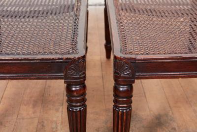 Pair of Regency Style Benches