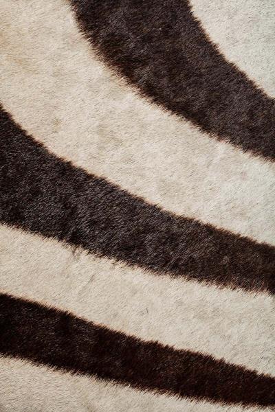 Pair of Rope Chairs from Viceroy Miami with Zebra Hide Upholstered Seats