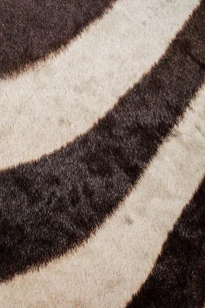 Pair of Rope Chairs from Viceroy Miami with Zebra Hide Upholstered Seats