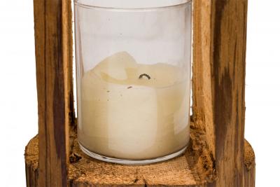 Pair of Rustic Carved Wooden Lanterns