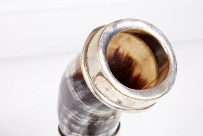 Pair of Silver Rimmed Horn Cups in Stands